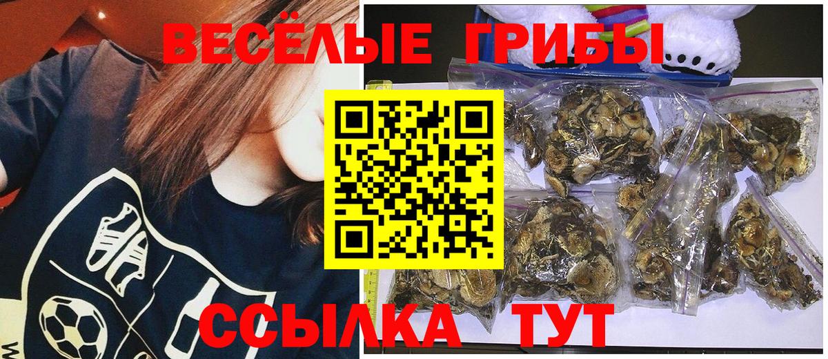 Галлюциногенные грибы Cubensis Королёв